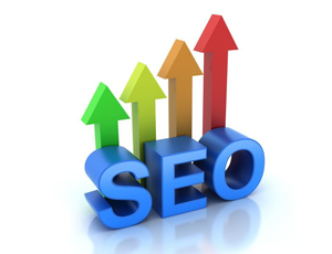 seo company in meerut t